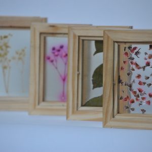 BIOCUADROS ENCAPSULADOS BOTANICOS